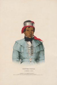  da Charles Bird King