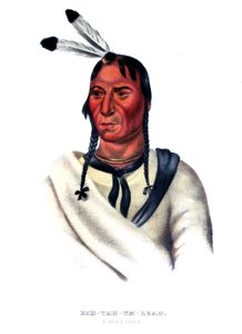 Eshtahumbah (Occhi Sonnolenti), un capo Sioux da Charles Bird King
