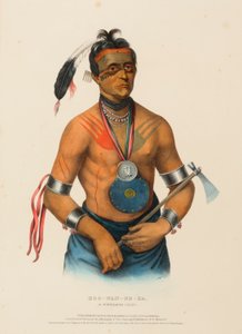 HOO-WAN-NE-KA, UN CAPO WINNEBAGO, da Storia delle tribù indiane dell
