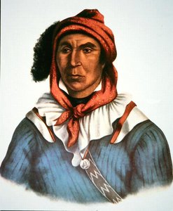 Julcee Mathla da Charles Bird King
