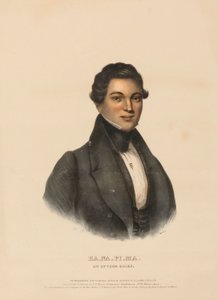 KA-NA-PI-MA, UN CAPO OTTAWA, da Storia delle tribù indiane del Nord America. da Charles Bird King