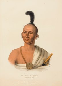 KAI-POL-E-QUAH, FOX DAL NASO BIANCO, da Storia delle tribù indiane dell