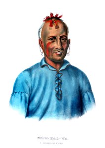 Kishkalwa, un capo Shawnee da Charles Bird King