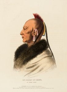 LE SOLDAT DU CHENE, UN CAPO OSAGE, da Storia delle tribù indiane del Nord America da Charles Bird King