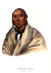 Piccolo Corvo, un capo Sioux da Charles Bird King
