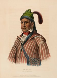 ME-NA-WA. Un guerriero CREEK, da Storia delle tribù indiane del Nord America da Charles Bird King