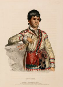MISTIPPEE., da Storia delle tribù indiane del Nord America da Charles Bird King