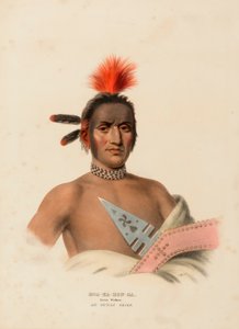 MOA-NA-HON-GA. GRANDE CAMMINATORE. UN CAPO DELL