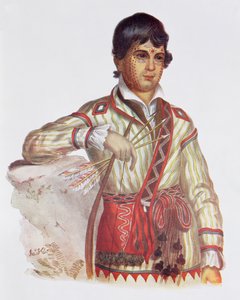Mistipee, figlio di Yoholo-Micco, illustrazione da 
