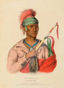 NE-O-MON-NE, UN CAPO IOWAY, da Storia delle tribù indiane del Nord America da Charles Bird King