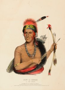 POW-A-SHEEK. UN CAPO FOX. da Charles Bird King