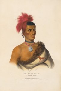  da Charles Bird King