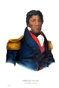 Pushmataha, un guerriero Choctaw da Charles Bird King