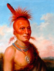 Sharitarish (Capo malvagio), Pawnee da Charles Bird King