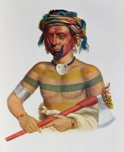 Shau-Hau-Napo-Tinia, un capo Iowa, 1837, illustrazione da 
