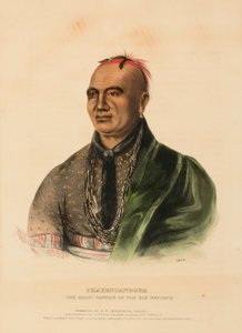 THAYENDANEGEA. IL GRANDE CAPITANO DELLE SEI NAZIONI, da Storia delle Tribù Indiane del Nord America da Charles Bird King