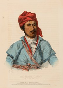 TIMPOOCHEE BARNARD. UN GUERRIERO UCHEE, da "Storia delle tribù indiane del Nord America". da Charles Bird King