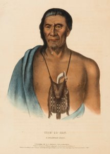 TISH-CO-HAN. Un capo del DELAWARE, da Storia delle tribù indiane del Nord America da Charles Bird King