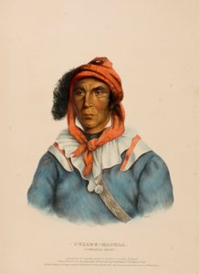 TULCEE-MATHLA. UN CAPO SEMINOLE, da Storia delle tribù indiane del Nord America da Charles Bird King
