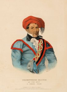 TUSTENNUGGEE EMATHLA, da Storia delle Tribù Indiane del Nord America da Charles Bird King