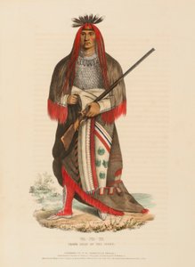 WA-NA-TA. GRANDE CAPO DEI SIOUX, da Storia delle tribù indiane del Nord America
