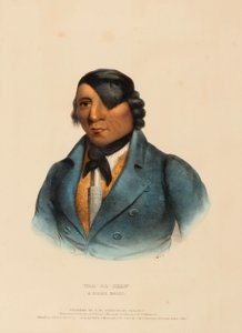 WAA-PA-SHAW. Un capo SIOUX, da Storia delle tribù indiane del Nord America