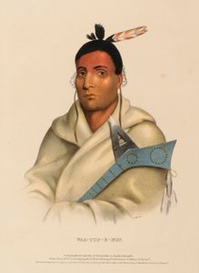 WAA-TOP-E-NOT., da Storia delle Tribù Indiane del Nord America da Charles Bird King