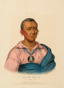 WAT-CHE-MON-NE, UN CAPO IOWAY, da Storia delle tribù indiane del Nord America da Charles Bird King
