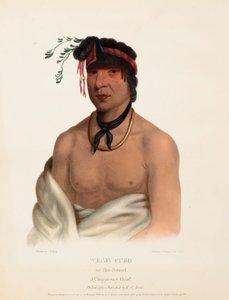 WESH-CUBB. Un capo CHIPPEWAY, da Storia delle tribù indiane del Nord America. da Charles Bird King