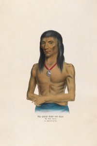  da Charles Bird King