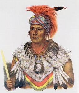 Wapella o il Principe Capo delle Volpi, 1837, illustrazione da 