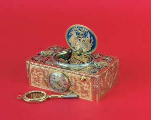 Scatola da canto per uccelli