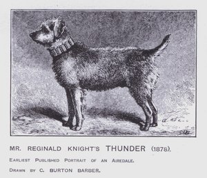 Il tuono di Mr Reginald Knight
