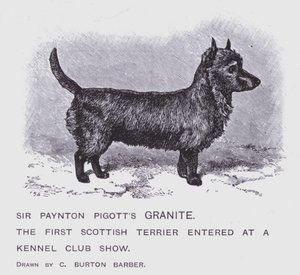 Il granito di Sir Paynton Pigott