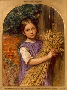 Il buon raccolto del 1854