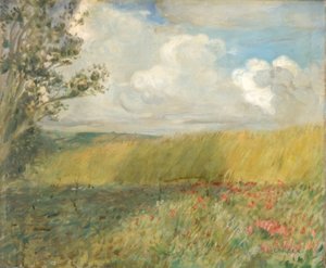 Il campo di grano