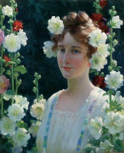 Tra gli alcea