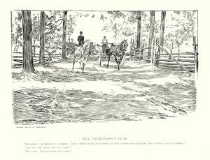 La sua tremenda paura (litografia) da Charles Dana Gibson
