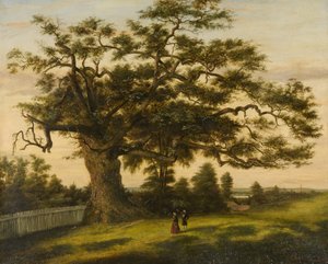 Il Charter Oak da Charles de Wolf Brownell