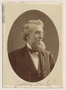 Ritratto di Joseph Medill, c.1876