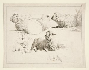 Pecore al pascolo da Charles Echard