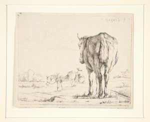 Due cavalli al pascolo da Charles Echard