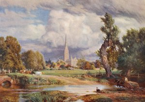 Cattedrale di Salisbury da Charles Edward Johnson