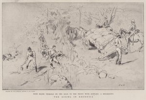 La rivolta in Rhodesia