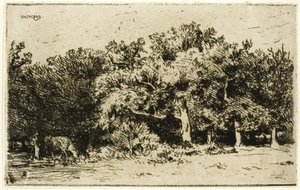 Una parte della foresta di Fontainebleau da Charles Emile Jacque