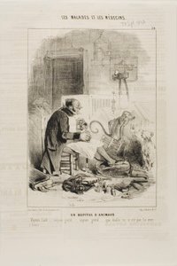 Un Ospedale per Animali (tavola 20) da Charles Emile Jacque
