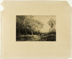 Bordo di un Bosco