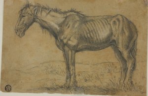 Cavallo emaciato (recto); vista frontale di un cavallo (verso) da Charles Emile Jacque