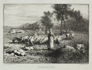 Branco di maiali, 1868 da Charles Emile Jacque