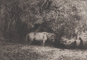 Cavallo sotto un ramo d